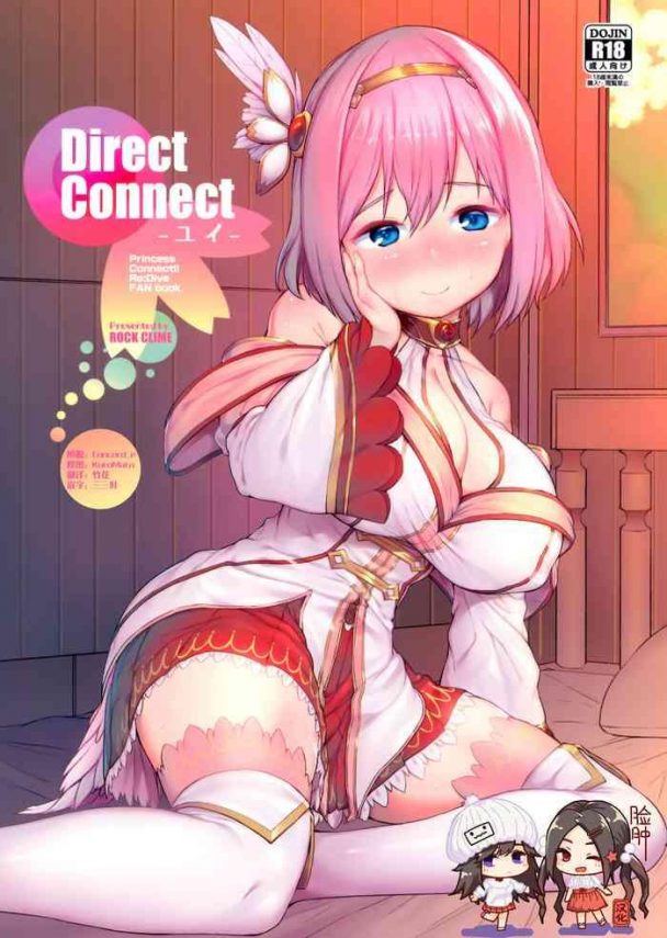 direct connect cover 1