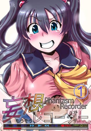 delusion recorder vol 1 cover