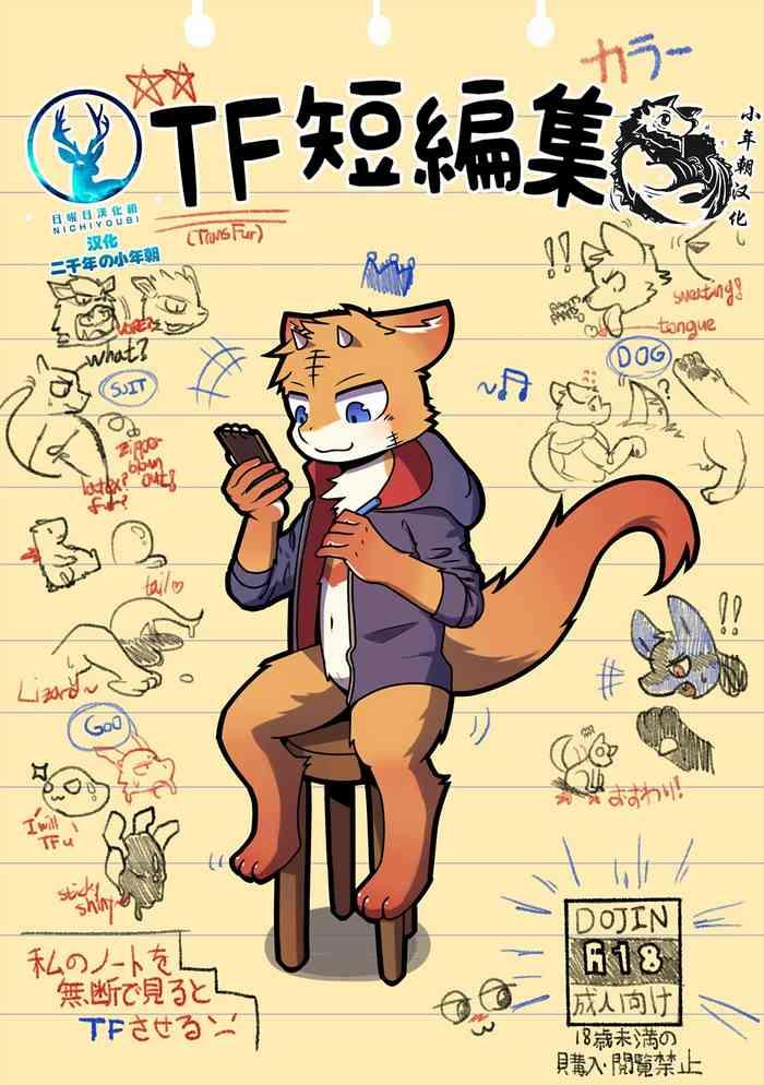 tf 1 chinese nichiyoubi digital cover