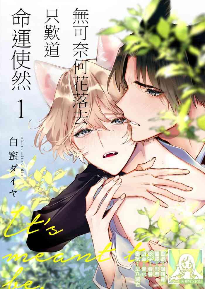 dou shiyou mo nai hodo ni unmei 1 2 cover