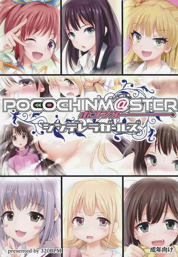 pocochinm ster cinderella girls cover