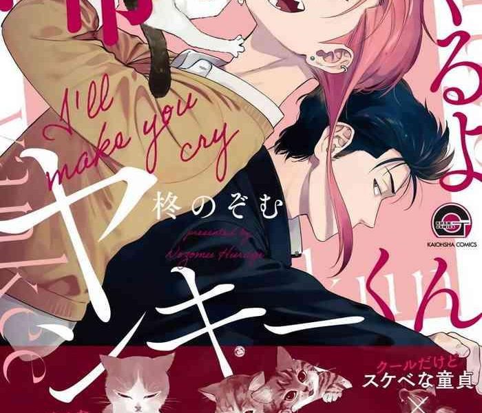 hiiragi nozomu nakasete yaru yo yankee kun ch 1 5 chinese digital cover