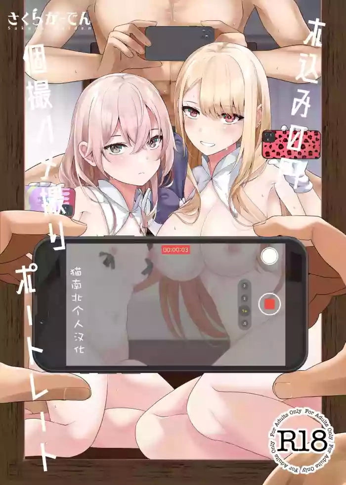hokomi 0 yen kosatsu hamedori portrait cover